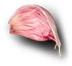 Good Bites