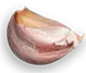 Good Bites
