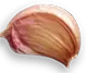 Good Bites
