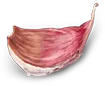 Good Bites