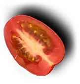 Good Bites